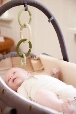 Filibabba Aktivitetsbøjle til Frida Swift Lift - Dark Grey- Lifte