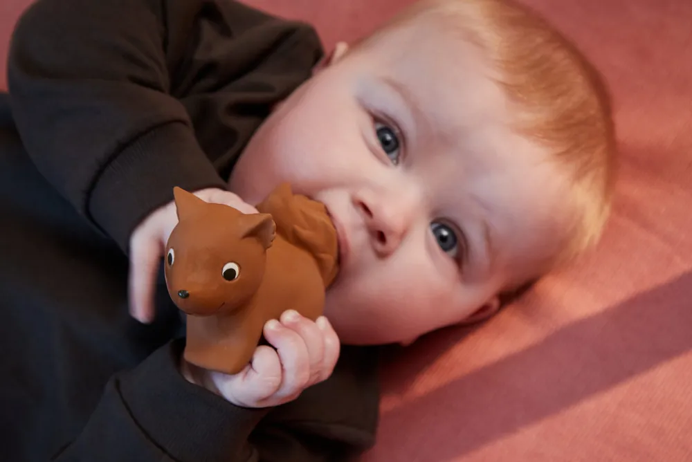 Filibabba Bidedyr i naturgummi - egernet sonja- Bideringe & Rangler