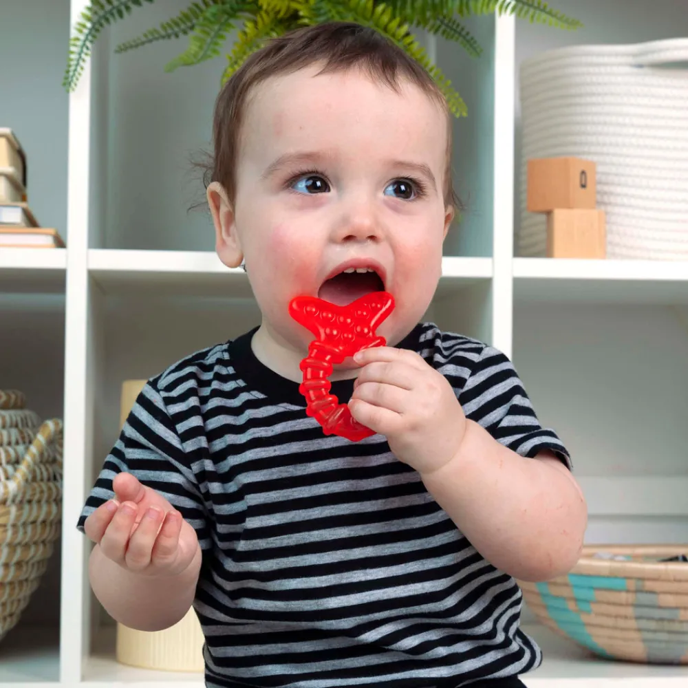 Baby Einstein Cool Critters kølebideringe - sæt med 4- Bideringe & Rangler
