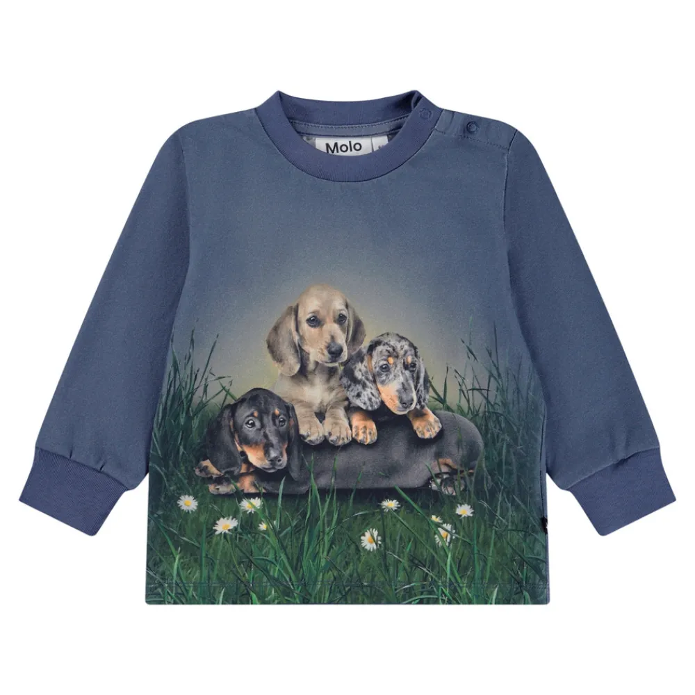 Molo Eloy Sweatshirt - 9679- Cardigans, Veste & Trøjer