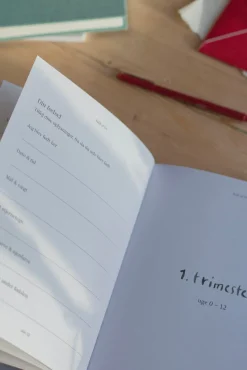 Specialday Fuld af liv - min graviditet- Bøger