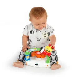 Baby Einstein Gåvogn med små venner- Gåvogne & Aktivitetsborde