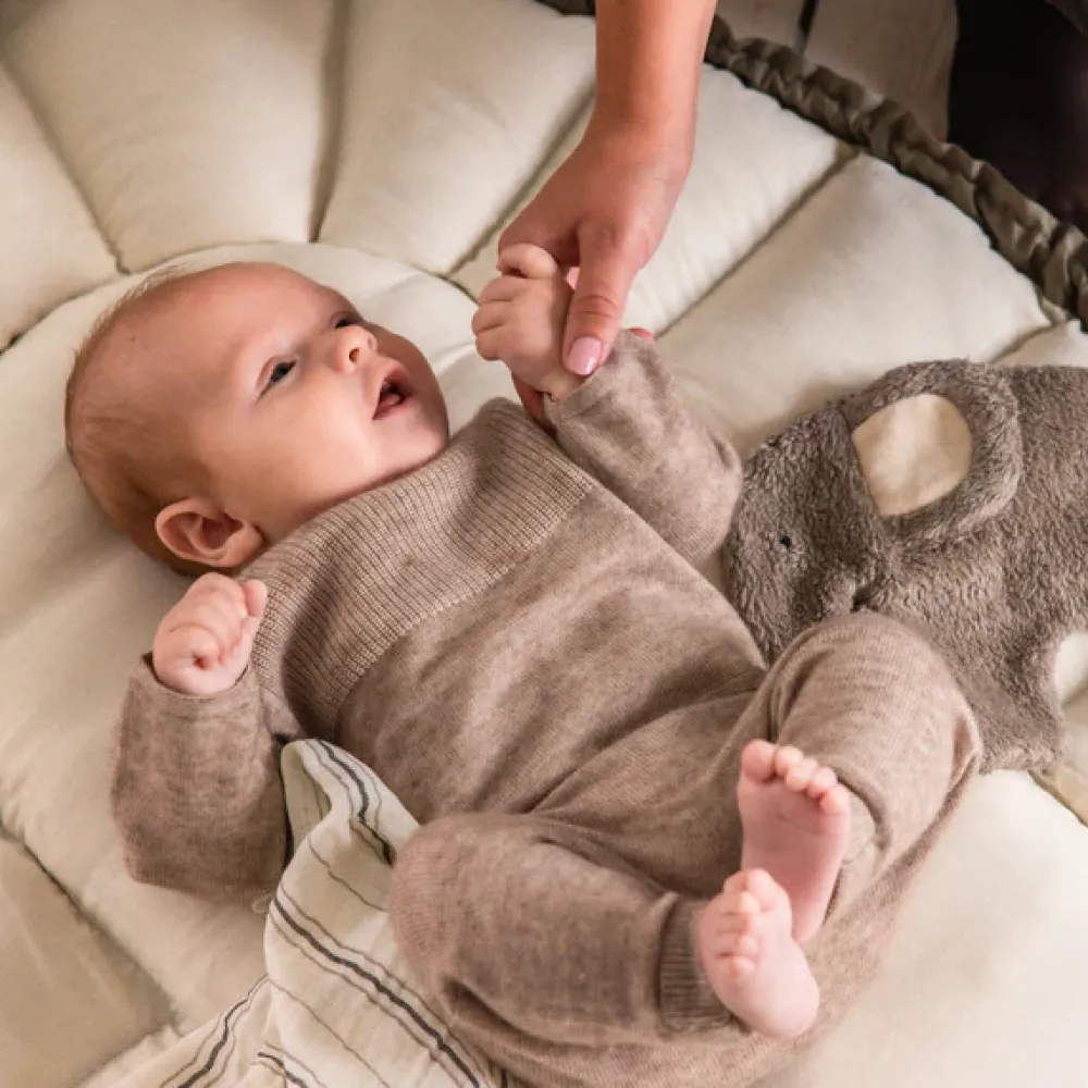 Sebra 3-i-1 Babylift - Dark Olive- Lifte