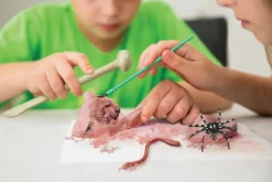 4M Kidzlabs /Creepy crawly digging kit- Eksperimenter