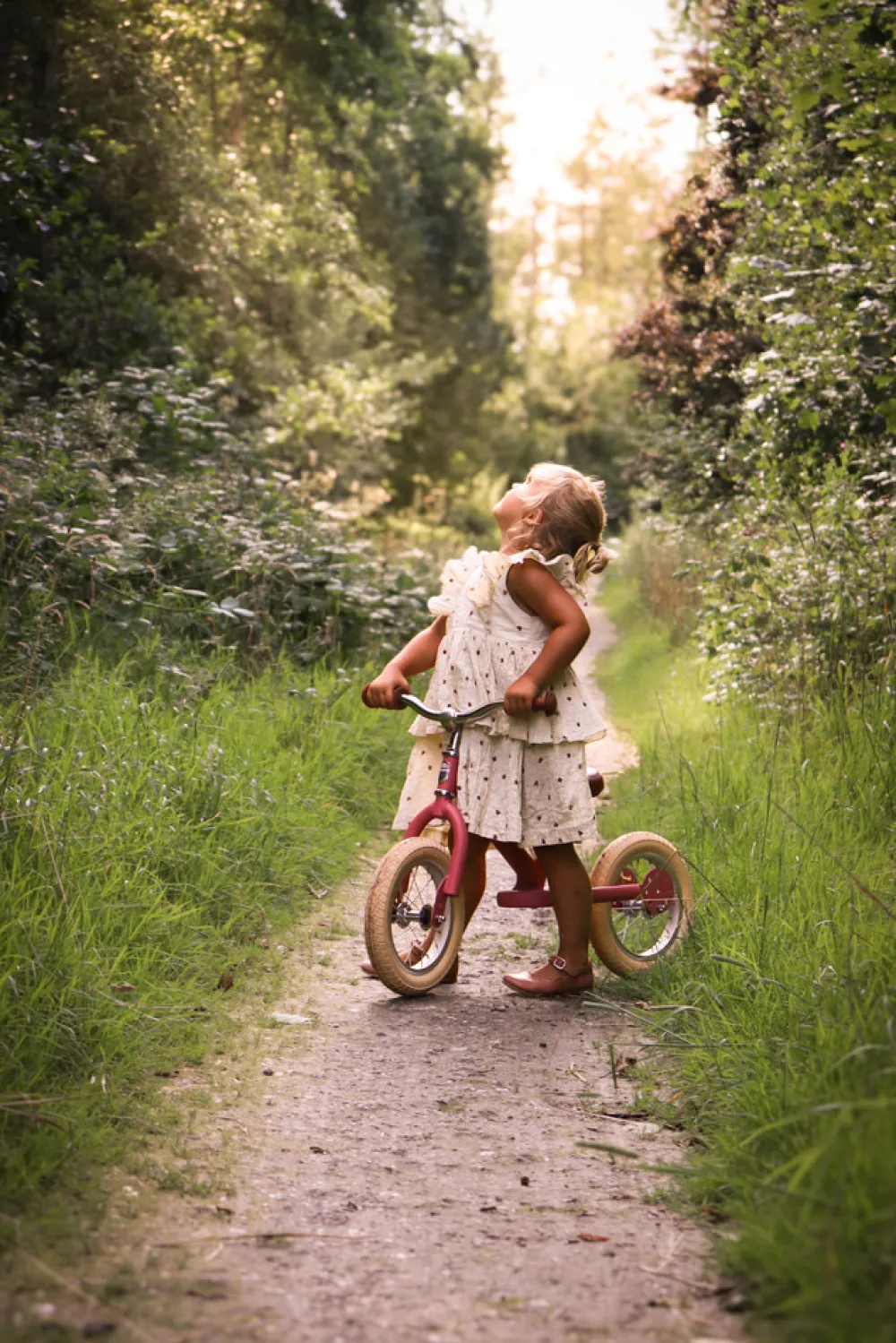 Trybike Løbecykel, 2-hjulet, Vintage rose- Løbecykler & Cykler