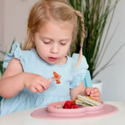 EZPZ Mini Foods Sæt - støvet rosa- Service
