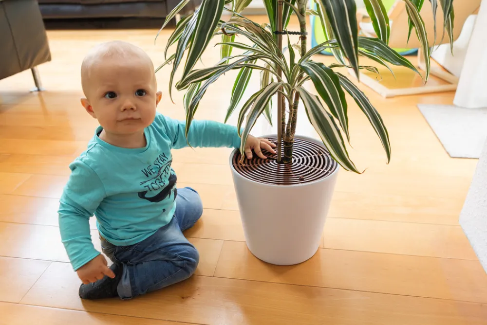 Abus Noah Plantebeskytter, 2 stk- Sikkerhed I Hjemmet