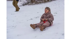 DanToy Numse slæde ass. farver- Leg I Haven