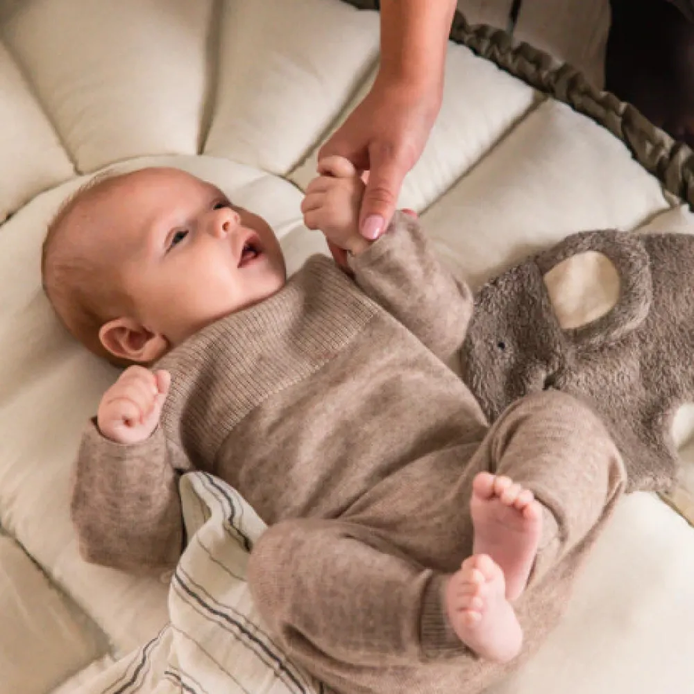 Sebra lift med kaleche - Dark olive- Lifte