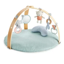 Ingenuity Vendbart Aktivitetsstativ- Aktivitetstæpper