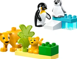LEGO Duplo Vilde dyrefamilier: pingviner og løver 10442- Lego